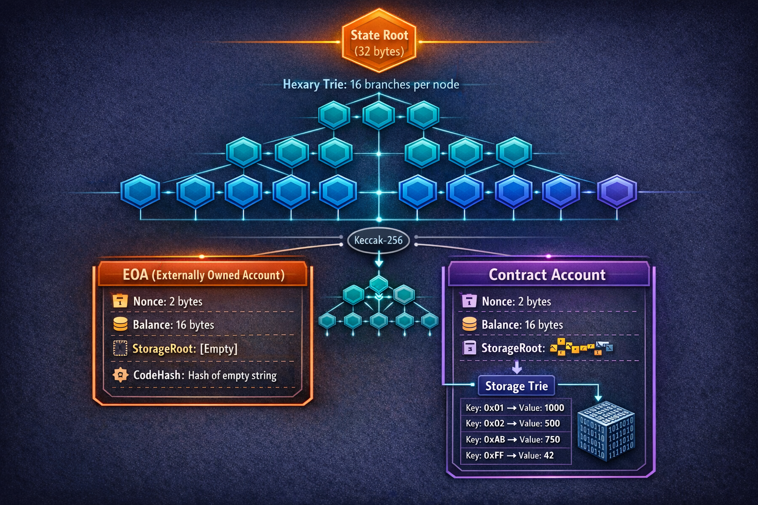 An anatomical diagram showing EOA and contract account fourfield structures side by side, nested wit