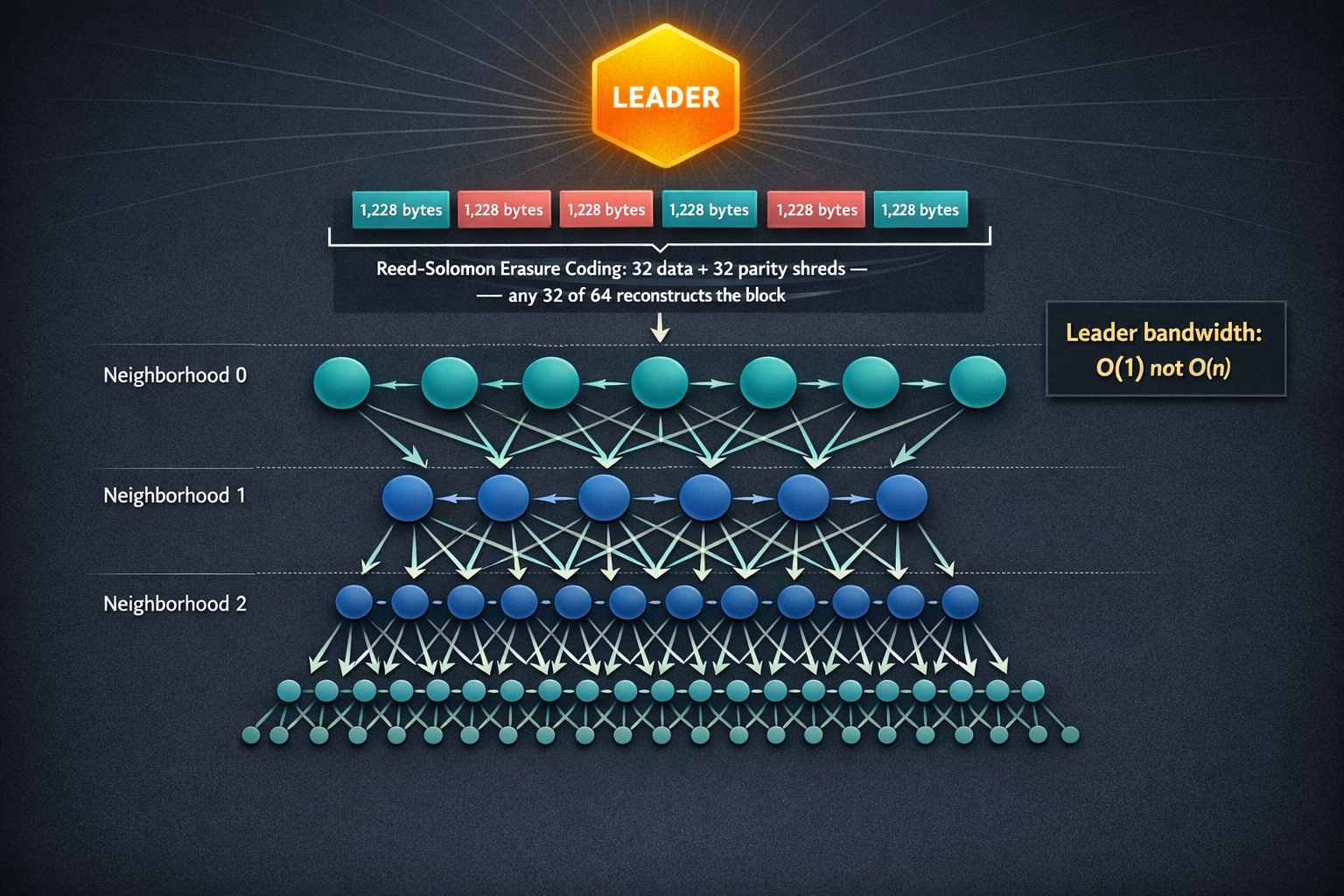 A fanout tree hierarchy showing a leader splitting a block into shreds with ReedSolomon erasure codi